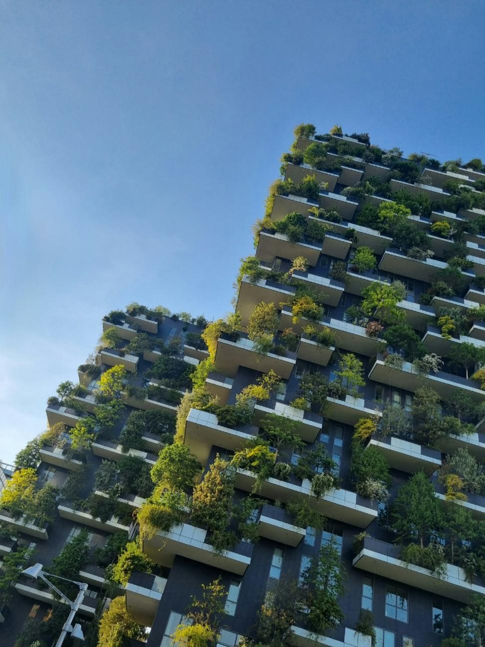 Passive House Pioneer